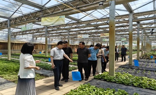 2024年6月27日，中国绿色食品发展中心相关领导莅临农业总公司考察调研_副本.jpg